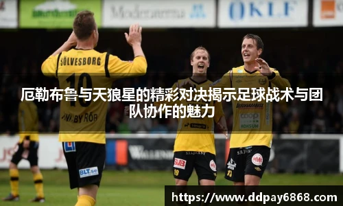 XK星空体育赛事