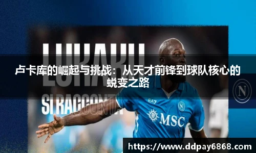 XK星空官网首页